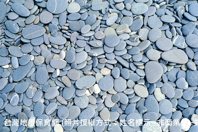 屏東九棚地區的礫石海岸。變質砂岩在海岸地區受到長期的滾磨，形成圓扁形的礫石。本段海岸由於波浪能量大，細顆粒的沈積物都已被帶走，只剩下粒徑較大的礫石。