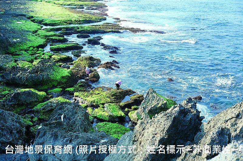 屏東龍坑地區的珊瑚礁景觀。由於環境適合，珊瑚在此大量繁殖，形成大規模珊瑚礁海岸。