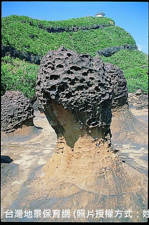 照片中的蕈狀岩屬於細頸蕈狀岩，顯示此蕈狀岩已受到一段時間的風化作用。上方頭部岩體有蜂窩岩的形成。