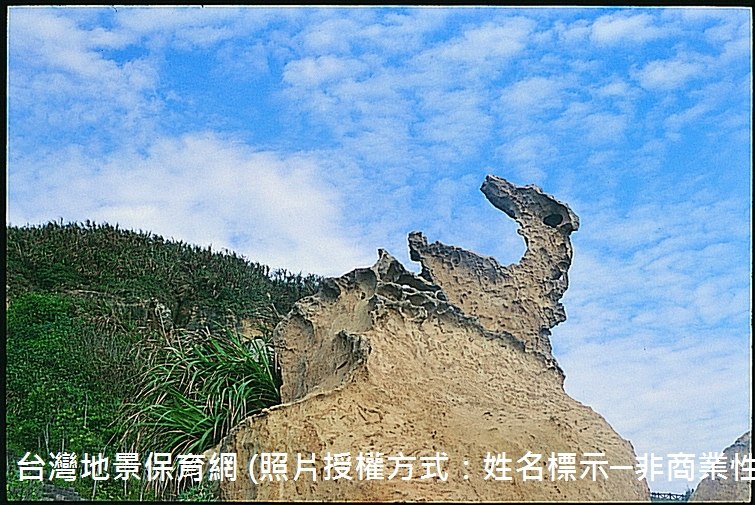 瑪玲鳥石是以其外型來命名，因為差異侵蝕作用，使較硬的岩石留下來形成外型奇特的石塊，像一隻巨鳥回首望，為野柳著名的地標之一。