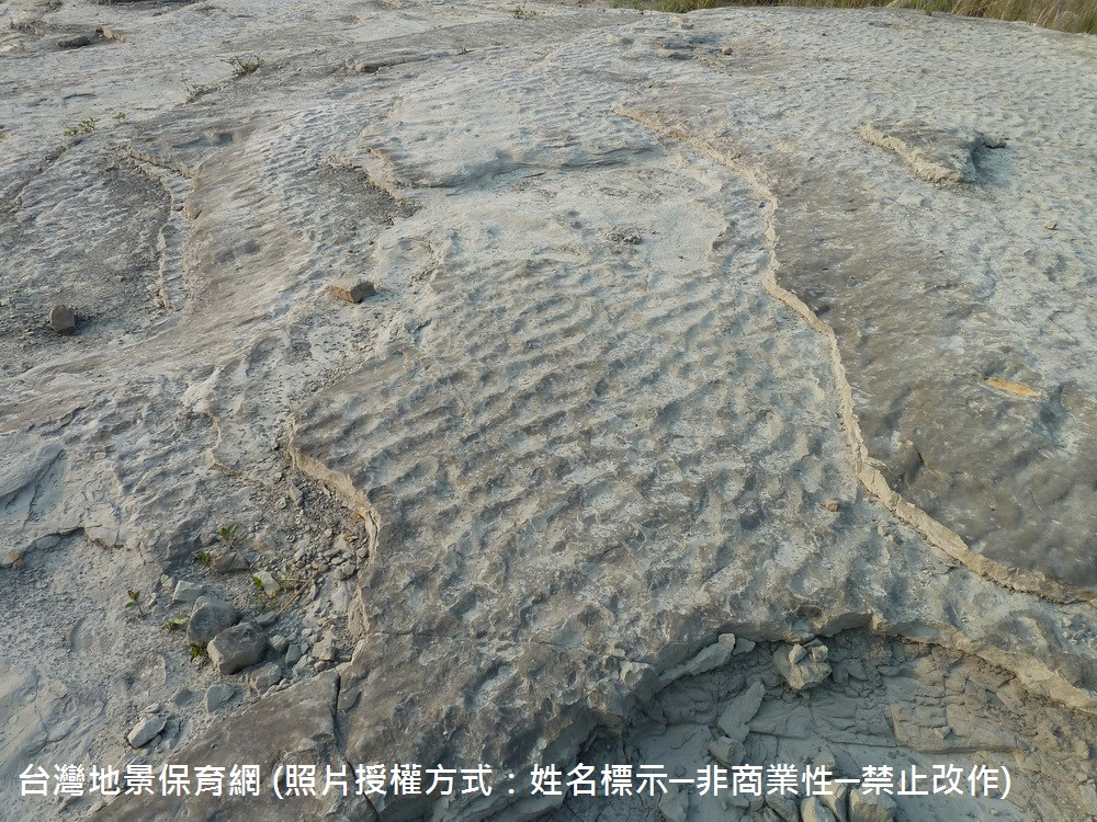 「波痕」是海水的波浪作用將海床表面的沈積物搬動所形成的波浪狀構造。由於卓蘭層為海相地層，因此當地可以見到波痕構造。若波浪前進與後退的能量大小不同，就會形成不對稱狀的波痕，如本圖所示。