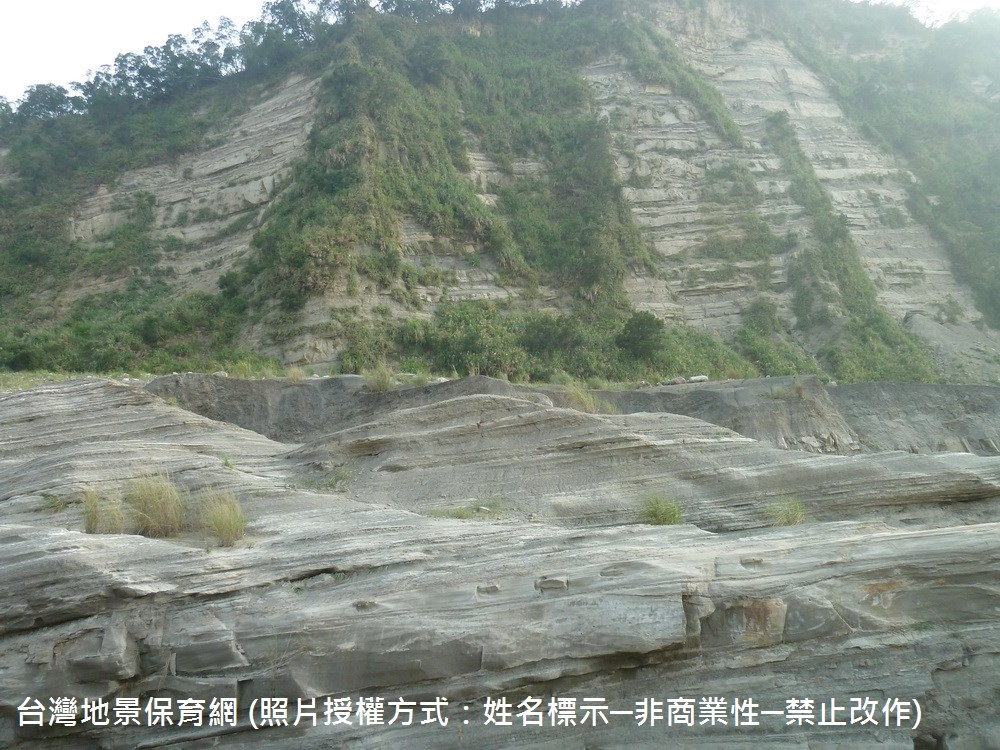 河道岩層與邊坡岩層的比較。因為河道的岩層在九二一地震後才開始下切、露出地表，雨季時也可能再次被河水沖刷，因此植被覆蓋稀少。相對的邊坡的植被覆蓋較多，但崩塌地的所在位置仍維持裸露。另外，邊坡左側有斷層分布，上盤岩層向上傾斜，下盤則維持水平。