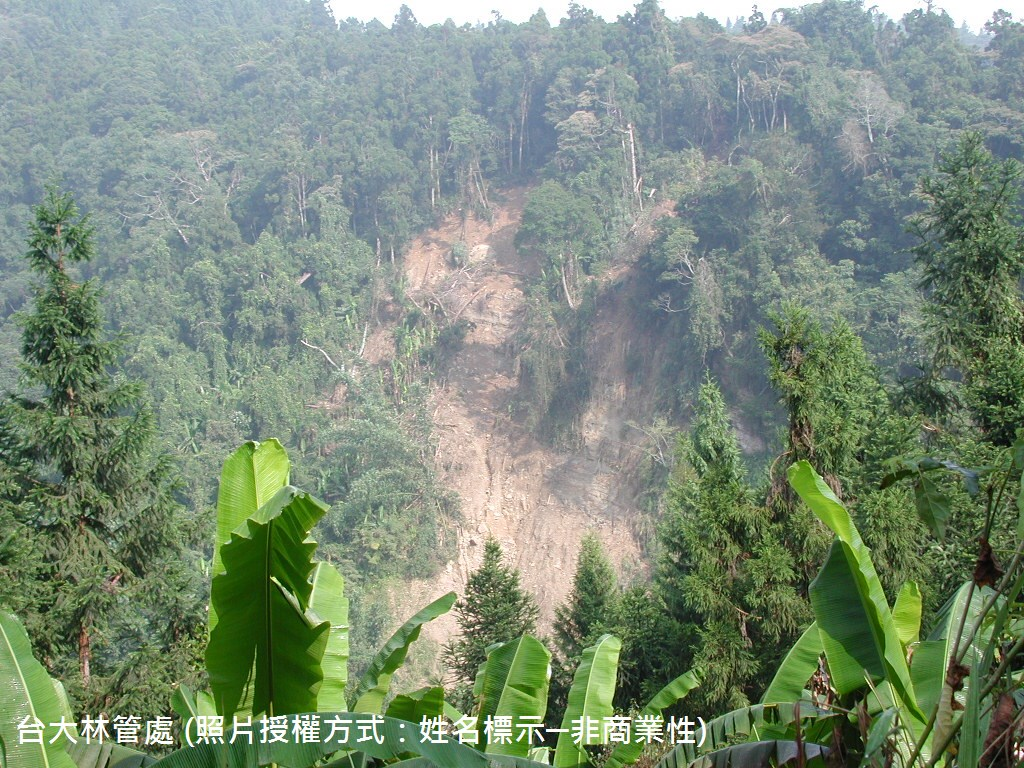 杉林溪公路旁溪流對岸崩塌。拍攝者：賴彥任