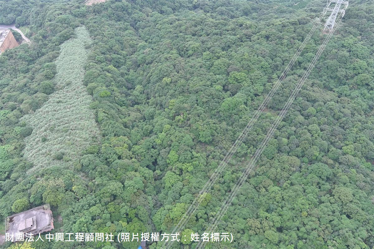 20250506_新北市萬里區磺潭里-新北F113-2