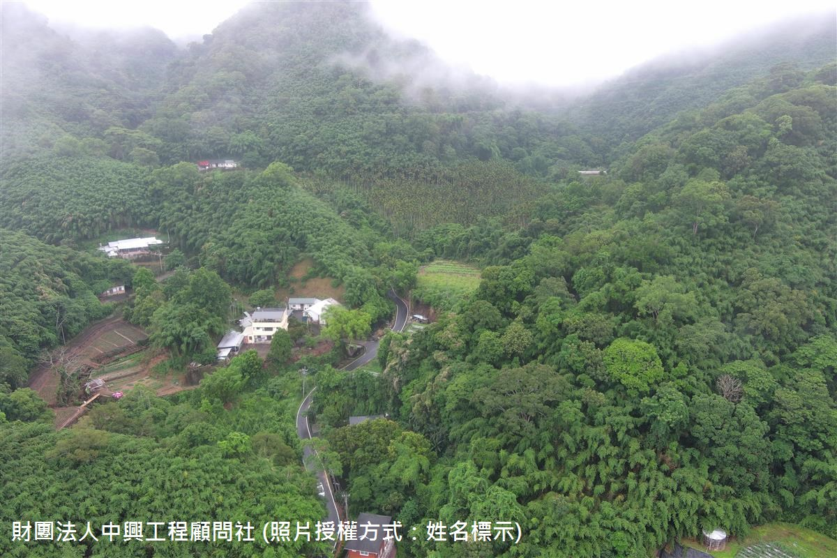 20250526_苗栗縣獅潭鄉豐林村-苗縣DF021