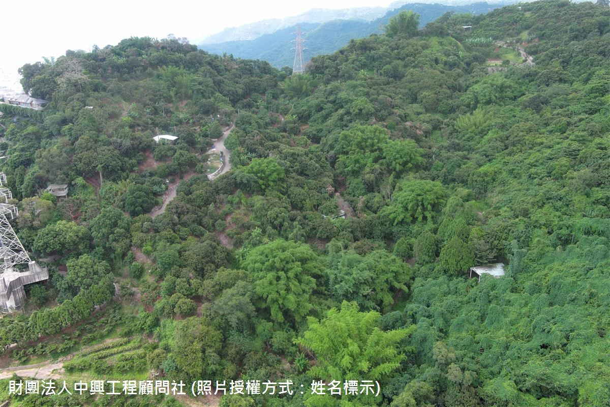 20250519_臺中市霧峰區桐林里-中市DF082